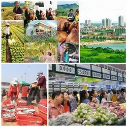 Chỉ đạo, điều hành của Chính phủ, Thủ tướng Chính phủ nổi bật tháng 8/2016