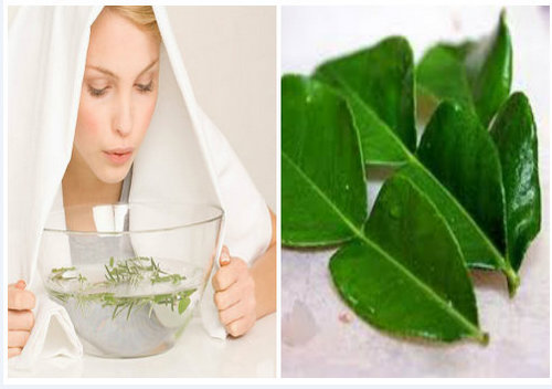 3 công dụng làm đẹp không ngờ tới của lá chanh