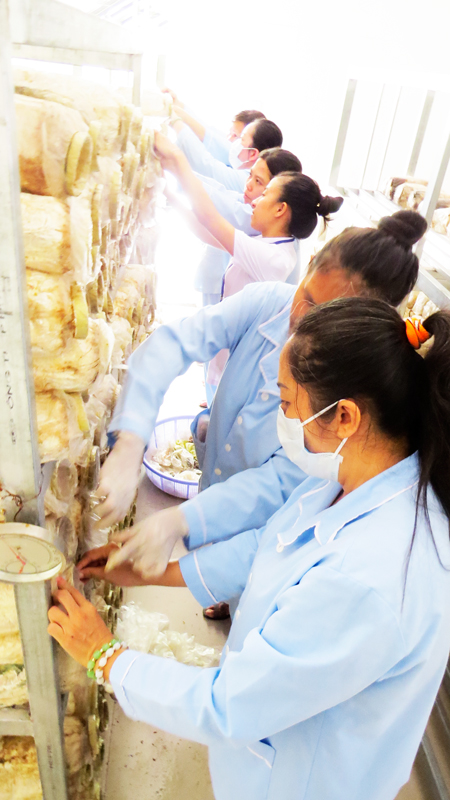 Bệnh nhân đang được hướng dẫn chăm sóc nấm. Ảnh: THẢO LY