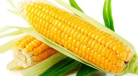 Bột bắp giúp da trắng sáng