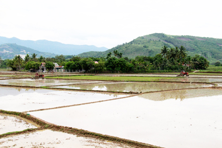 Tập trung phát triển sản xuất, nâng cao thu nhập cho người dân