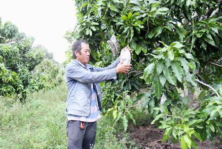 Mô hình "vòng tròn khép kín" của một nông dân