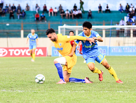 Sanna Khánh Hòa - Biển Việt Nam (xanh) thường không có được kết quả tốt  mỗi lần đối đầu với FLC Thanh Hóa (vàng)