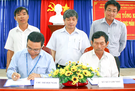 Kêu gọi doanh nghiệp đầu tư vào nông nghiệp: Chưa đủ sức hút