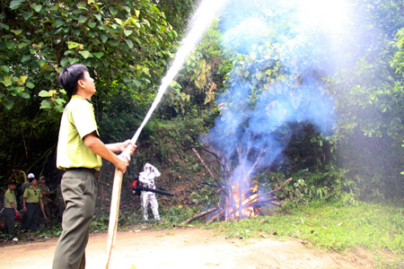 Quang cảnh buổi diễn tập