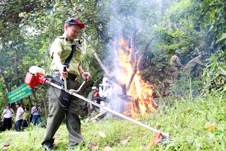 Lực lượng kiểm lâm tỉnh diễn tập nâng cao năng lực phòng cháy, chữa cháy rừng