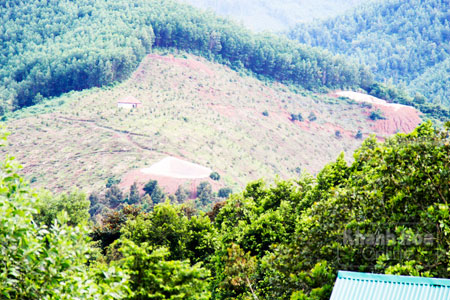 Khánh Sơn: Cao giá đất vườn