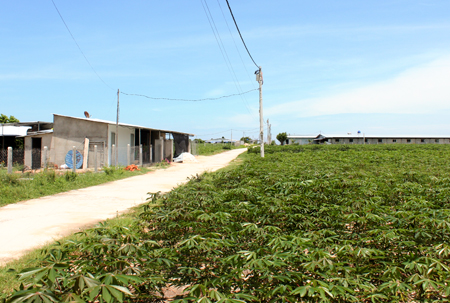 Một góc khu chăn nuôi tập trung ở thôn Vĩnh Thái