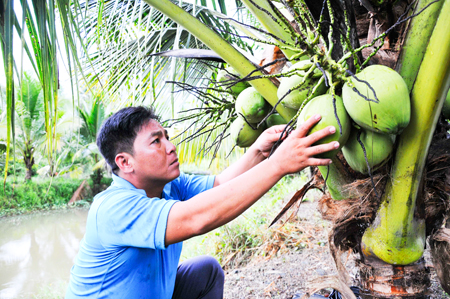 Anh Thịnh có thu nhập ổn định nhờ mô hình vườn, ao, chuồng, rừng