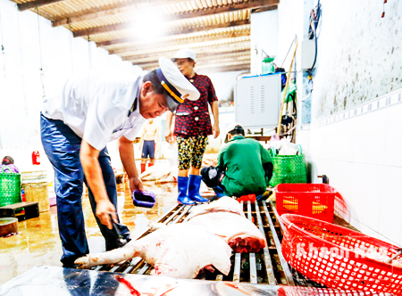 Khu giết mổ gia súc tập trung: Bao giờ mới có?