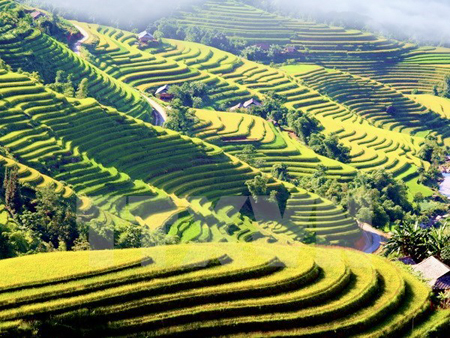 Truyền hình Đức làm chương trình về đất nước, con người Việt Nam