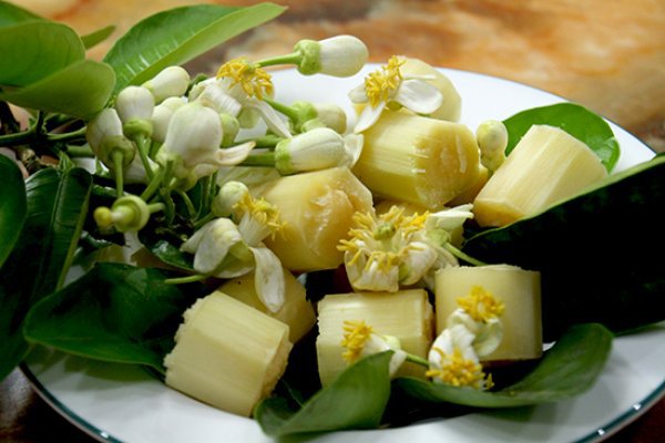 8 tác dụng tuyệt vời của cây mía đối với sức khỏe