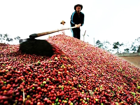 9 tháng, xuất khẩu nông lâm thủy sản đạt 23,3 tỷ USD