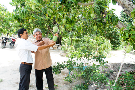 Lãnh đạo Hội Nông dân xã tham quan vườn xoài của ông Tám