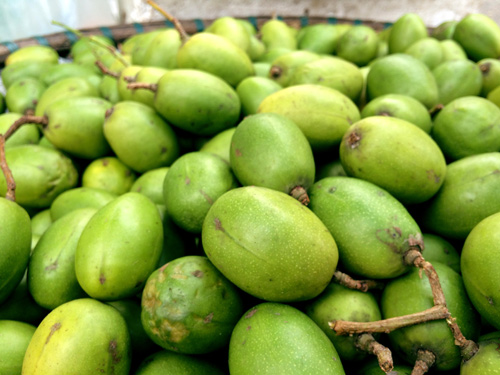 10 lợi ích tuyệt vời ít được biết đến của quả Cóc