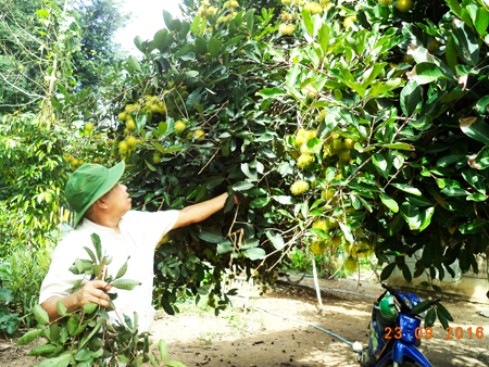 Khánh Sơn: Phát huy vai trò người cao tuổi