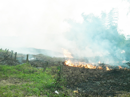 Đốt rẫy gây nguy hiểm