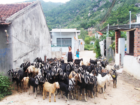 Một tấm gương lao động giỏi