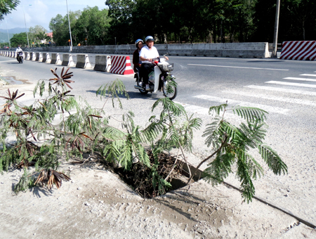 "Bẫy" trên đại lộ