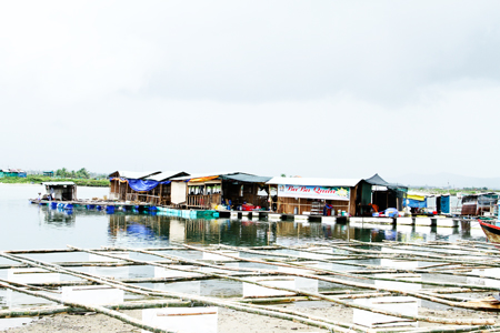 Các bè nổi ở khu vực tổ dân phố 6 Bình Tây đến trưa 6-10 vẫn đón khách, thậm chí có hộ đang làm thêm bè mới