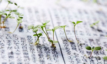 Những mầm cây mọc lên từ giấy báo của Nhật Bản