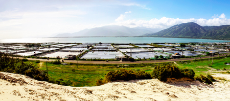 Điều kiện thời tiết không thuận lợi đã tác động xấu đến nuôi trồng thủy sản trong 9 tháng qua