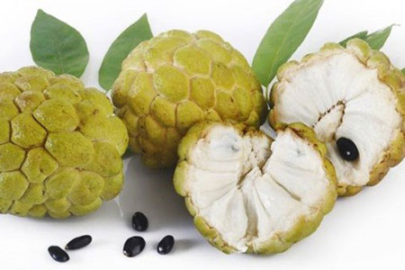 6 lợi ích của quả na với sức khỏe