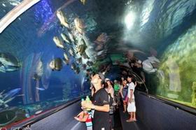 Phí tham quan Bảo tàng Hải Dương học từ 10.000 – 40.000 đồng/lượt