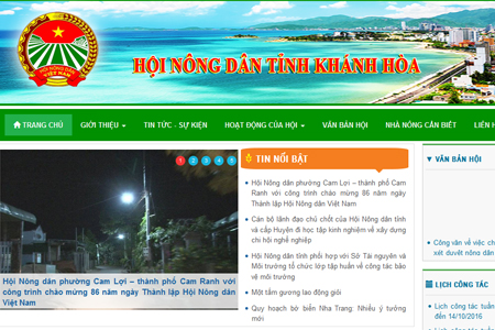 Ra mắt trang thông tin điện tử