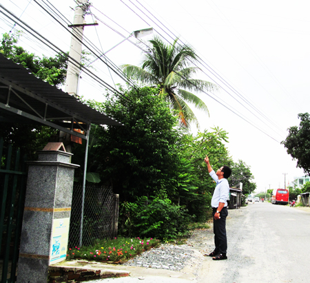 Tuyến chính thôn Xuân Trang đã có điện đường từ chương trình Ánh sáng nông dân