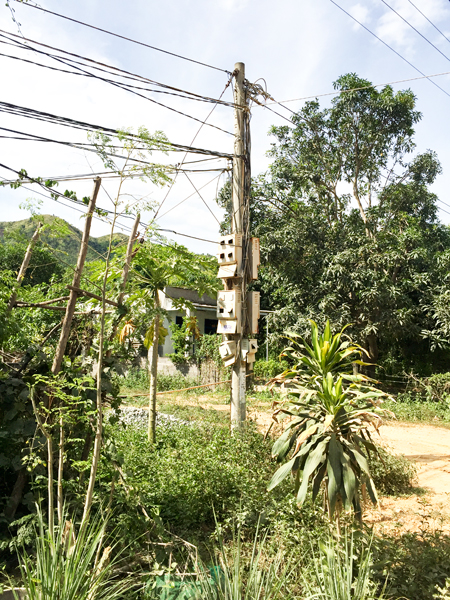 Đường dây hạ áp tại xã Suối Cát, huyện Cam Lâm đã xuống cấp, không an toàn.