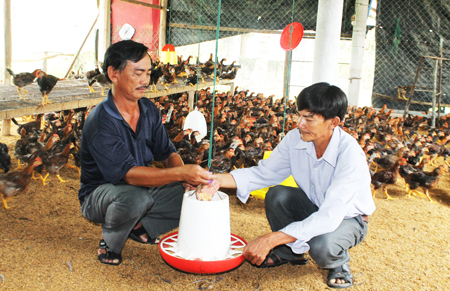 Xã Cam Tân: Nông dân thi đua sản xuất kinh doanh giỏi