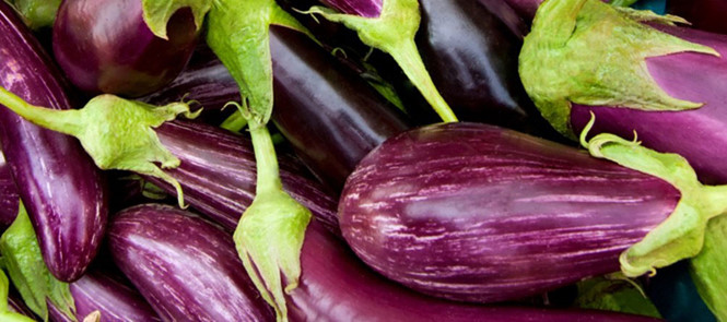 Nhiều lợi ích từ cà tím có thể bạn chưa biết