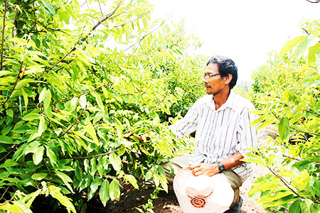 Ngân hàng Chính sách xã hội: Tập trung xử lý nợ quá hạn