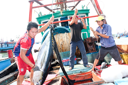 Tàu khai thác, đánh bắt cá ngừ cập cảng Hòn Rớ. (Ảnh: Văn Giang)