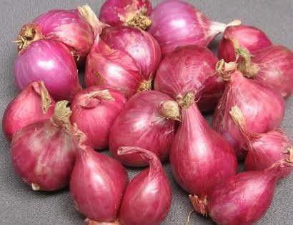 Củ hành có chất ức chế tế bào ung thư buồng trứng