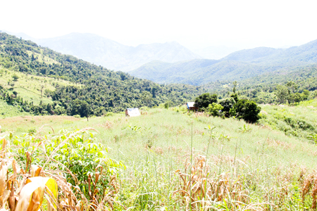 Người dân xã Ba Cụm Nam đã canh tác trên đất rừng thượng nguồn hồ Suối Hành nhiều năm nay