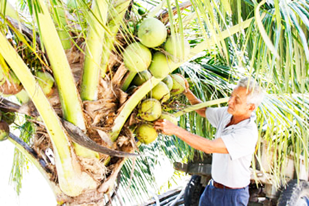 Góp phần xoa dịu nỗi đau da cam