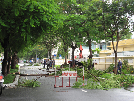 Công nhân Công ty Môi trường Đô thị Nha Trang khắc phục sự cố sau mưa lớn trên đường Pasteur.