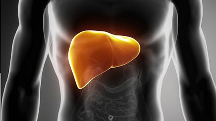 Chữa gan nhiễm mỡ bằng thực phẩm