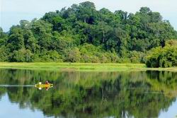 Tăng phí dịch vụ môi trường rừng