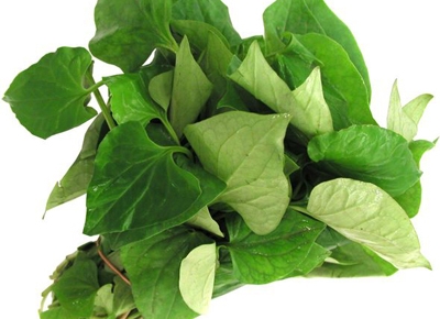 Rau dấp cá giảm sốt, chống viêm