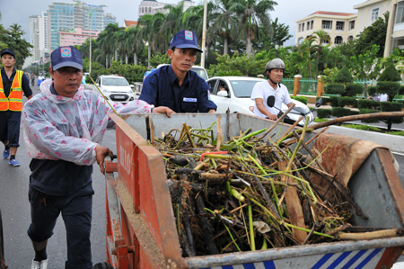 Lượng rác lớn, công ty phải huy động hàng chục xe đẩy để vận chuyển.