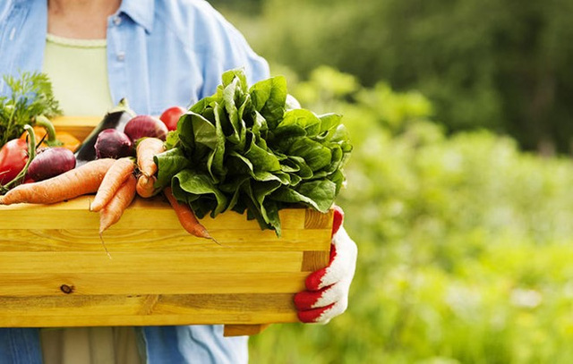 6 nguyên tắc ăn uống ai cũng nên thực hiện