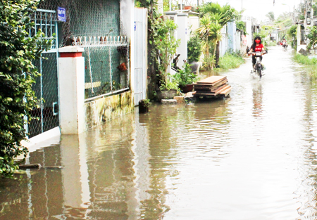 Khu vực Đồng Muối 2: Hàng trăm nhà dân bị ngập nước kéo dài