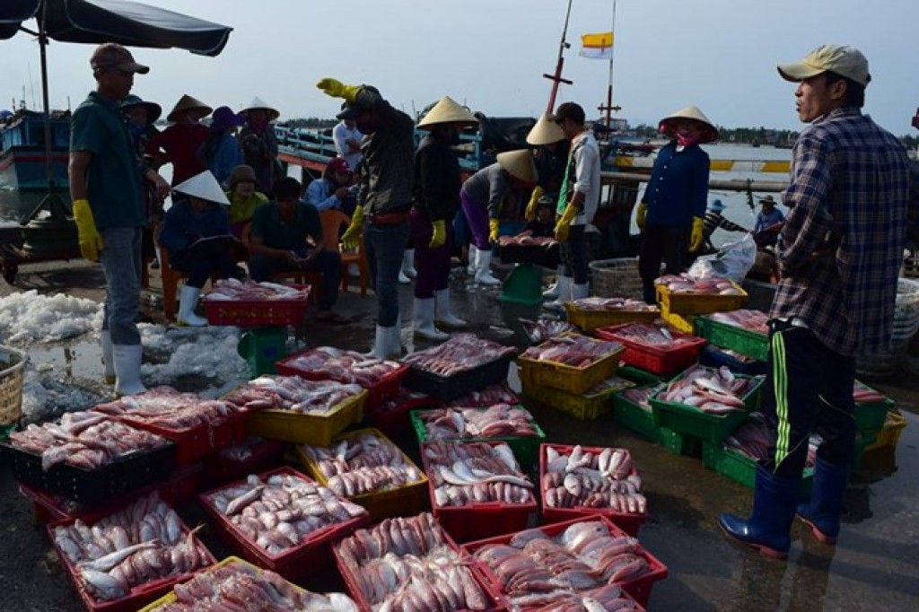 Ăn chặn của người thu mua hải sản