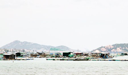 Cam Ranh: Nhiều lồng bè nuôi trồng thủy sản tự phát