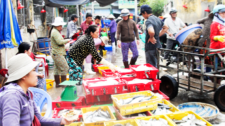 Hoạt động mua bán tại Cảng cá Vĩnh Trường