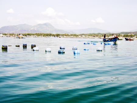 Tìm hướng giải quyết