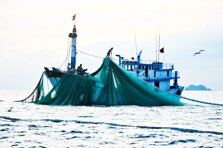 Một tàu đang đánh cá trên biển